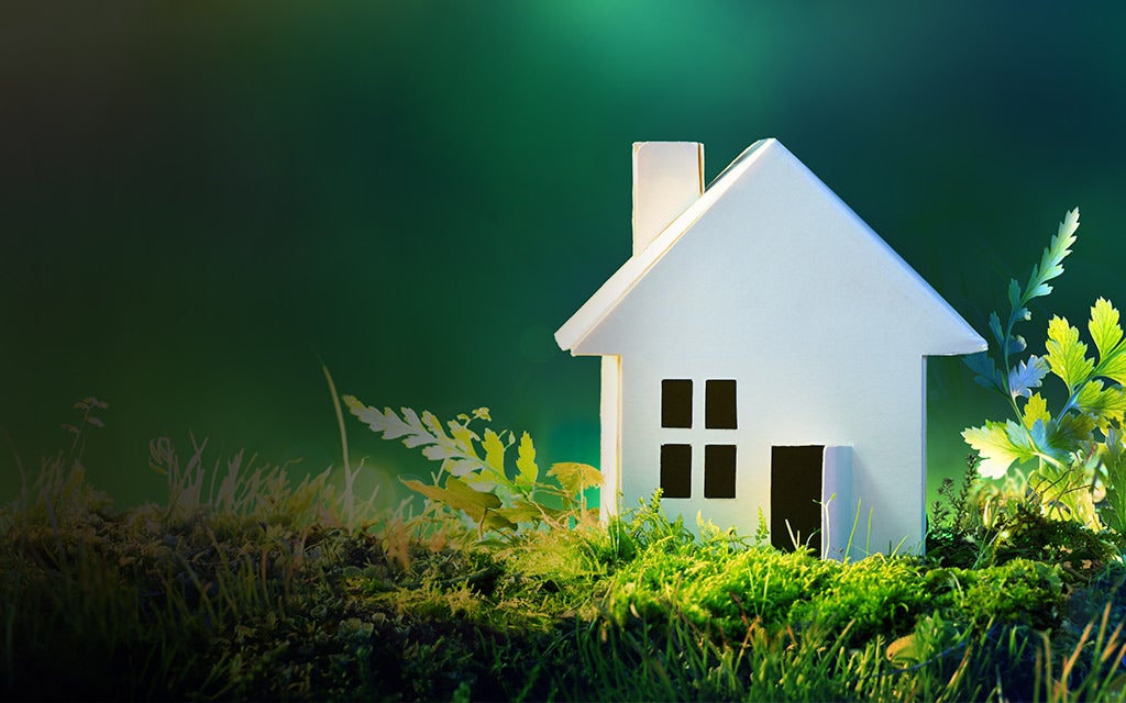 View of Four Eco-Friendly Home Improvement Ideas | First Command